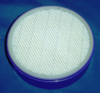 DYSON FILTER POST MOTOR HEPA DYSON FILTER POST MOTOR HEPA